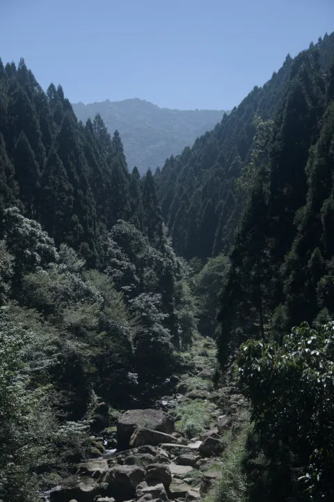 杉林溪