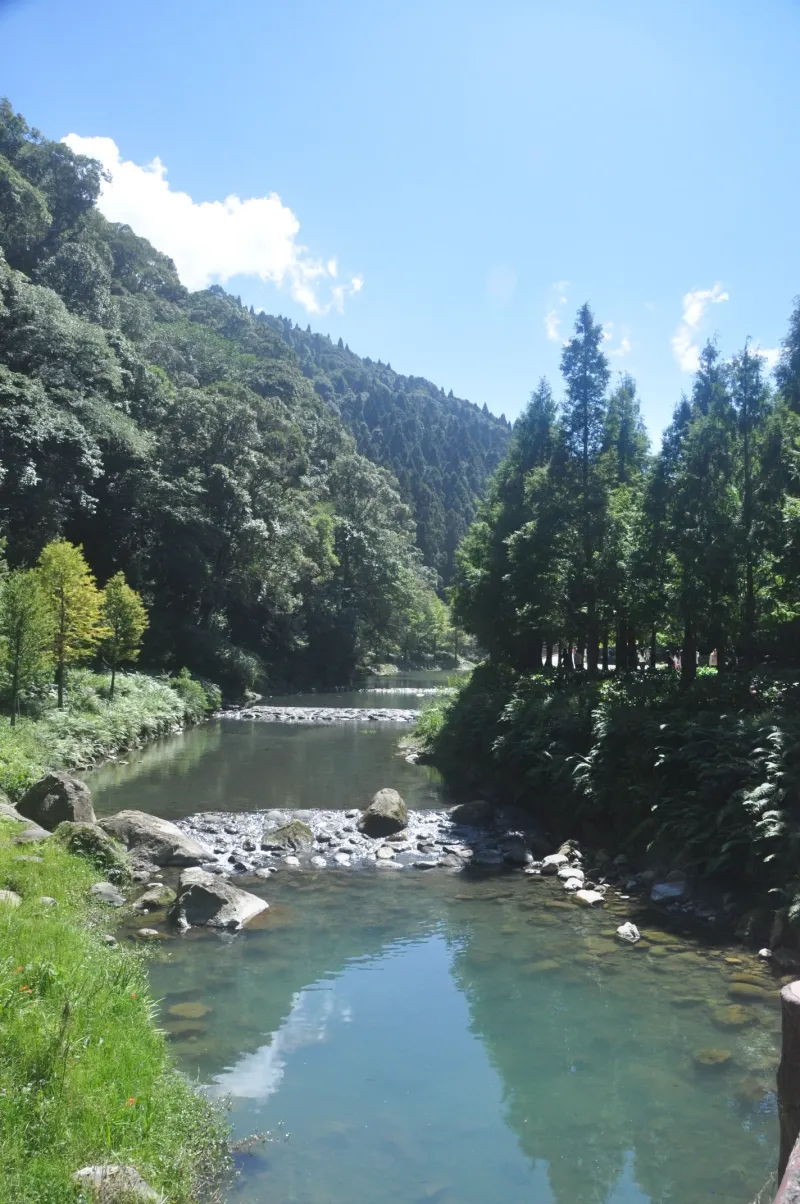 杉林溪 5