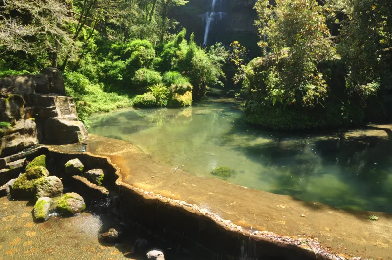 杉林溪 10