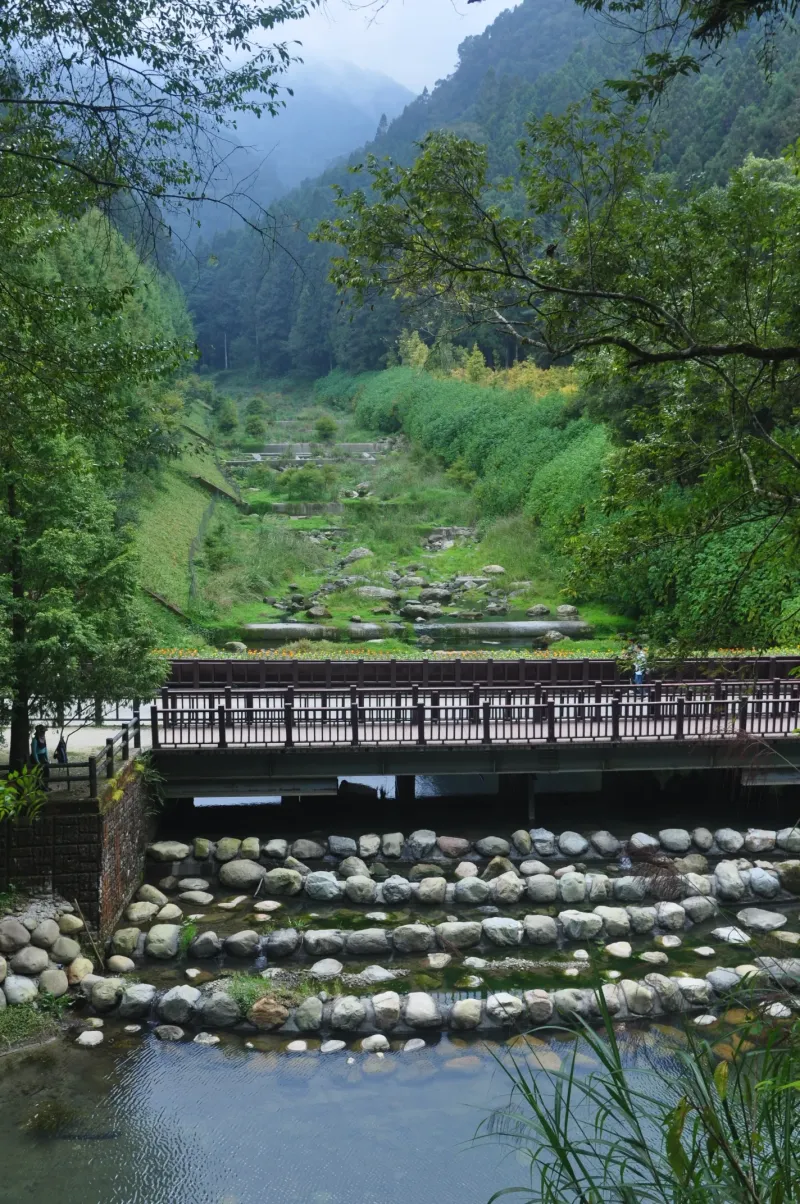 杉林溪 20